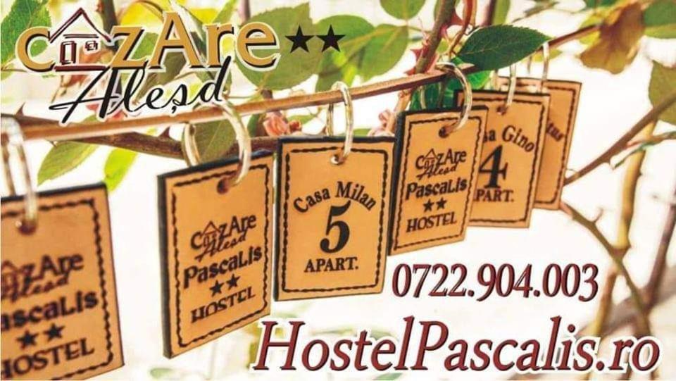 Hostel Pascalis Alesd Luaran gambar