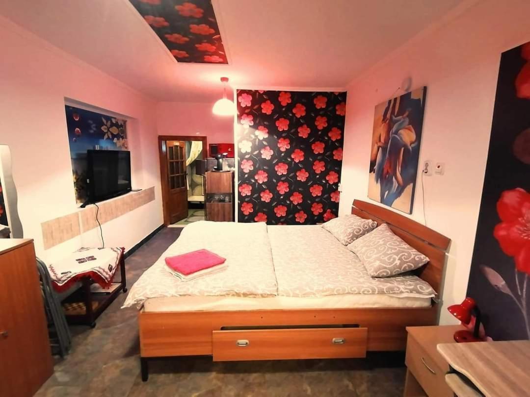 Hostel Pascalis Alesd Bilik gambar